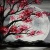 una_bella_luna